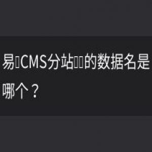 易优CMS分站对应的数据名是哪个？